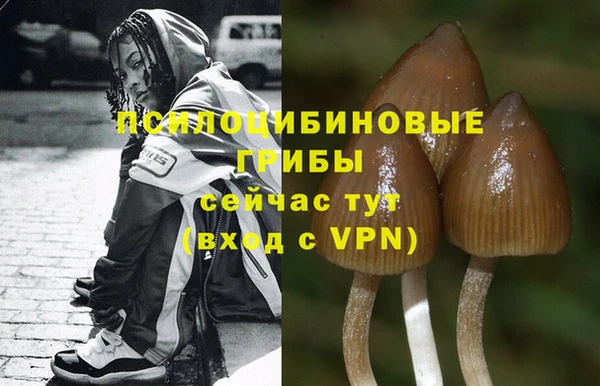 2c-b Балабаново