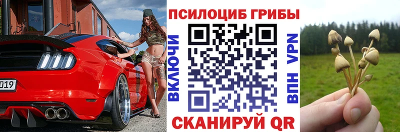 OMG   Белореченск  Псилоцибиновые грибы Psilocybine cubensis  купить  сайты 
