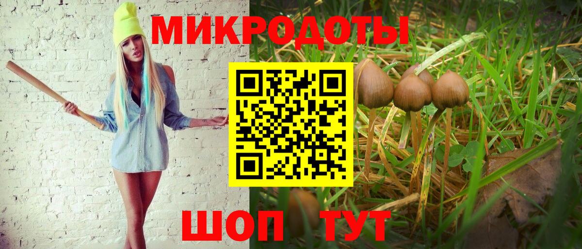 Псилоцибиновые грибы Cubensis  Белореченск 